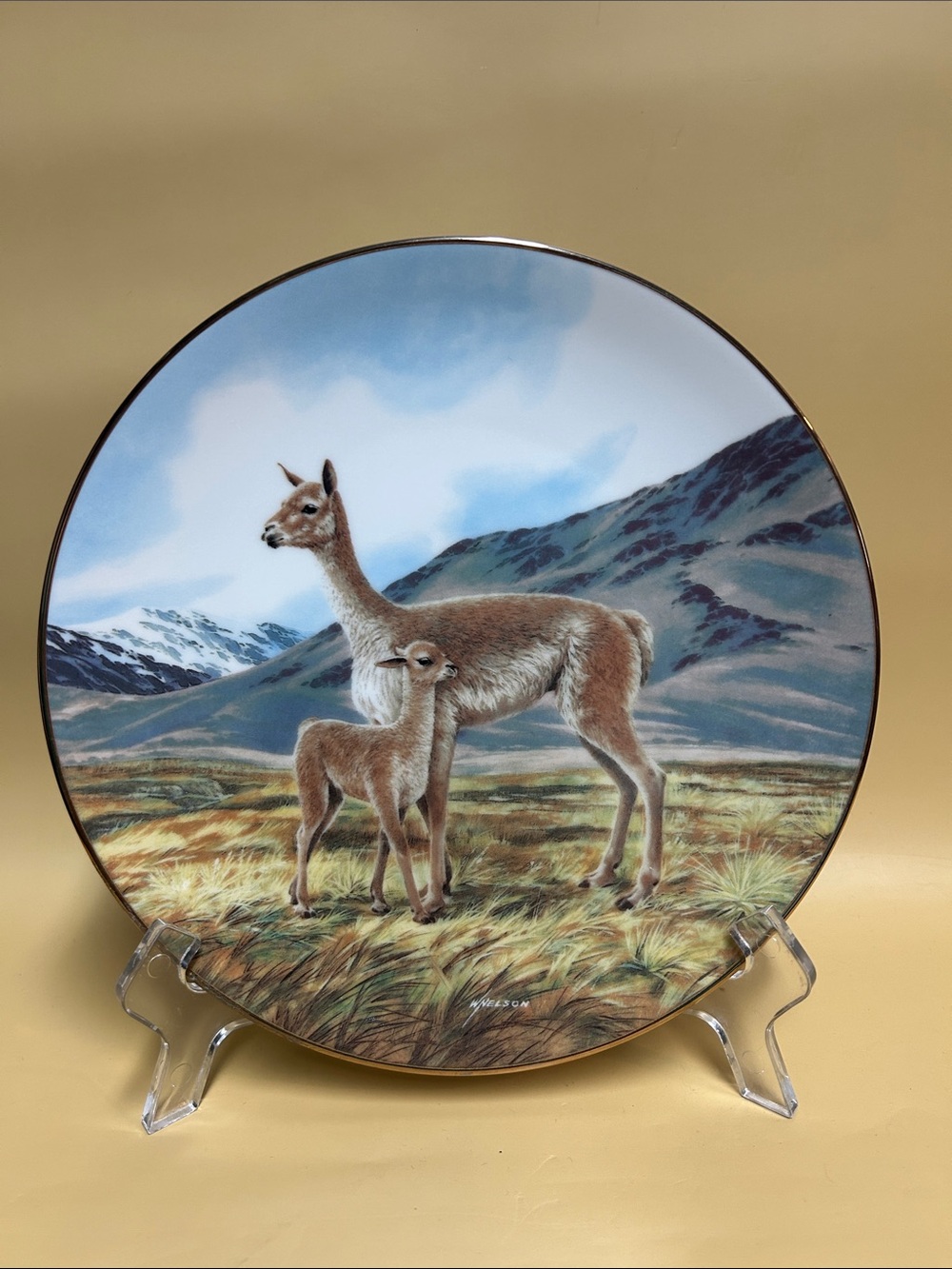 The Vicuna Last of Their Kind The Endangered Species Collector Plate Will Nelson